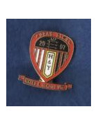 Hayes & Yeading United