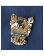 Staines Town
