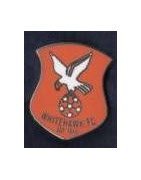Whitehawk