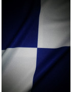 Blue & White Quartered Polo Shirt