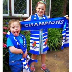 Wealdstone FC Scarf