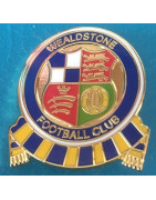 Wealdstone 2019-2020 badge with yellow/blue scroll