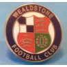 Wealdstone small badge 2020-2021