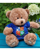 Wealdstone FC Badged Bear - Pick your Bear