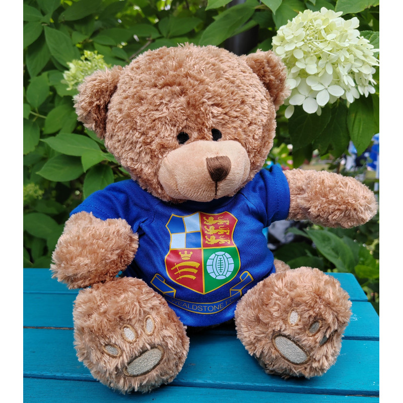 Wealdstone FC Badged Bear - Pick your Bear