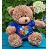 Wealdstone FC Badged Bear - Pick your Bear