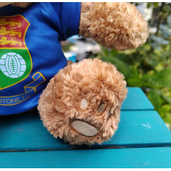 Wealdstone FC Badged Bear - Pick your Bear