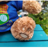 Wealdstone FC Badged Bear - Pick your Bear