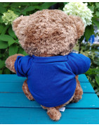 Wealdstone FC Badged Bear - Pick your Bear
