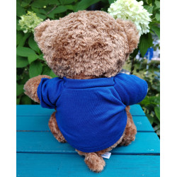 Wealdstone FC Badged Bear - Pick your Bear