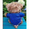 Wealdstone FC Badged Bear - Pick your Bear