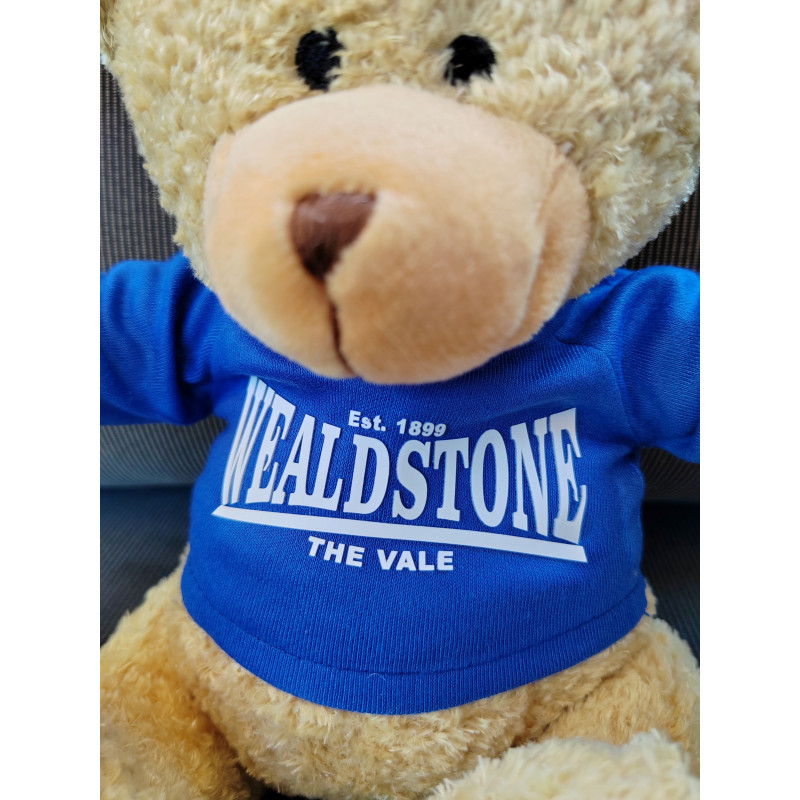 Wealdstone FC Established Teddy Bear