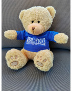 Wealdstone FC Established Teddy Bear