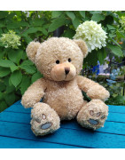 Wealdstone FC Badged Bear - Pick your Bear