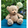 Wealdstone FC Badged Bear - Pick your Bear