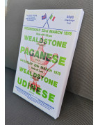 Anglo Italian Cup Poster Canvas Print - Paganese / Udinese