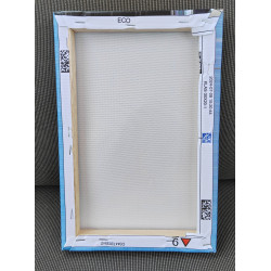 FA Trophy 1985 Programme Canvas Print