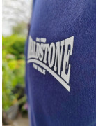 Wealdstone Navy & Grey Established Hoodie