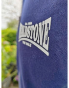Wealdstone Navy & Grey Established Hoodie
