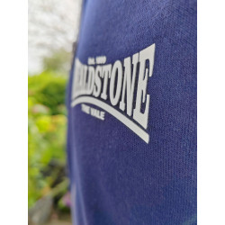Wealdstone Navy & Grey Established Hoodie