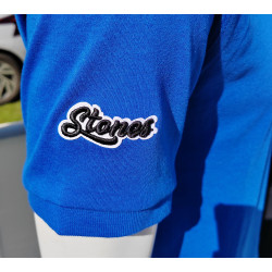 Wealdstone Established Blue Polo