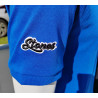 Wealdstone Established Blue Polo