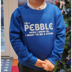Pebble Blue Jumper / Sweatshirt