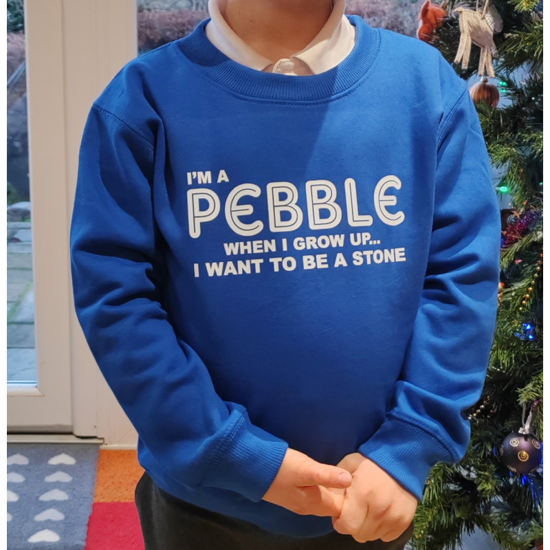 Pebble Blue Jumper / Sweatshirt