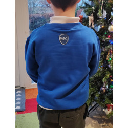 Pebble Blue Jumper / Sweatshirt