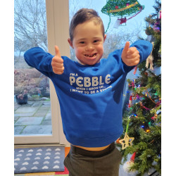 Pebble Blue Jumper / Sweatshirt