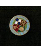 Wealdstone SC stickpin
