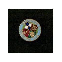 Wealdstone SC stickpin