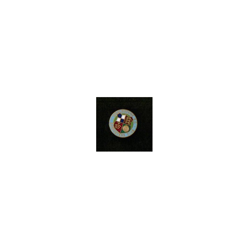 Wealdstone SC stickpin