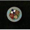 Wealdstone SC stickpin