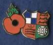 Wealdstone FC poppy